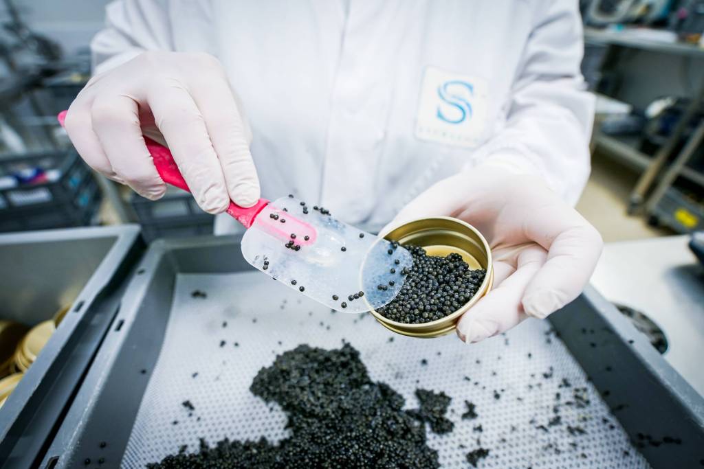 Séverine Agram, goûteuse de&nbsp;caviar