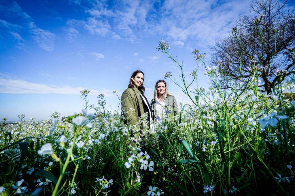 Double Dames à Saint Émilion pour Les Échos Série&nbsp;Limitée
