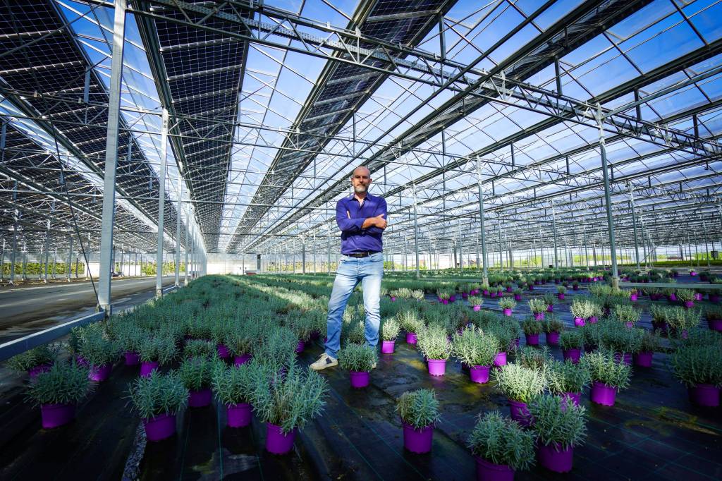 Les bienfaits de la serre&nbsp;solaire